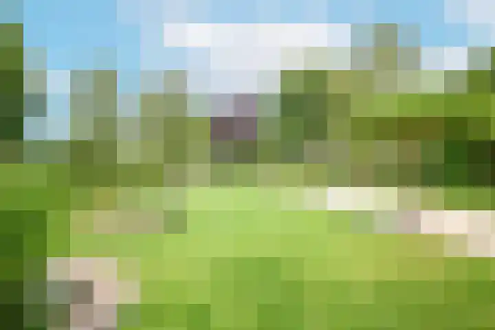 Rusburglaan 11 Santpoort-Zuid thumbnail 42
