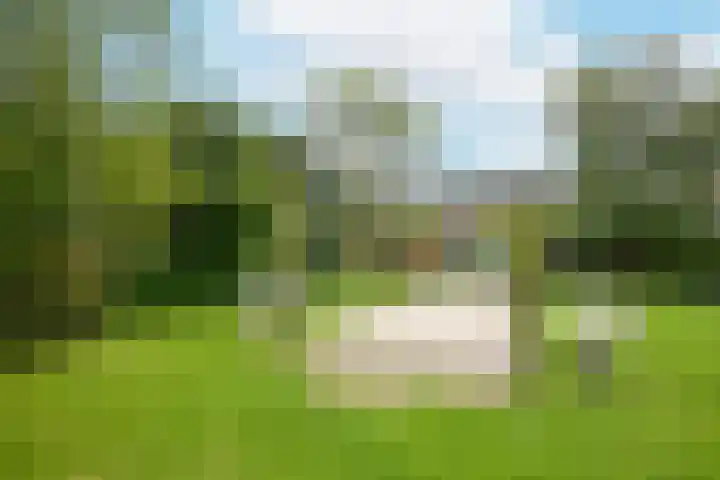 Rusburglaan 11 Santpoort-Zuid thumbnail 43