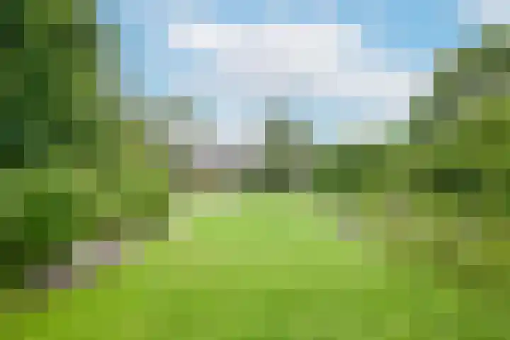 Rusburglaan 11 Santpoort-Zuid thumbnail 44