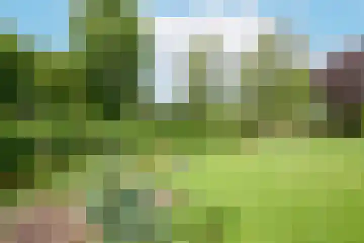 Rusburglaan 11 Santpoort-Zuid thumbnail 45