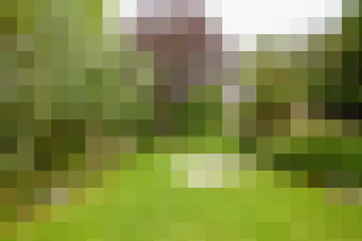 Rusburglaan 11 Santpoort-Zuid thumbnail 46