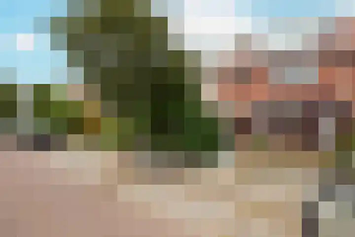 Rusburglaan 11 Santpoort-Zuid thumbnail 5