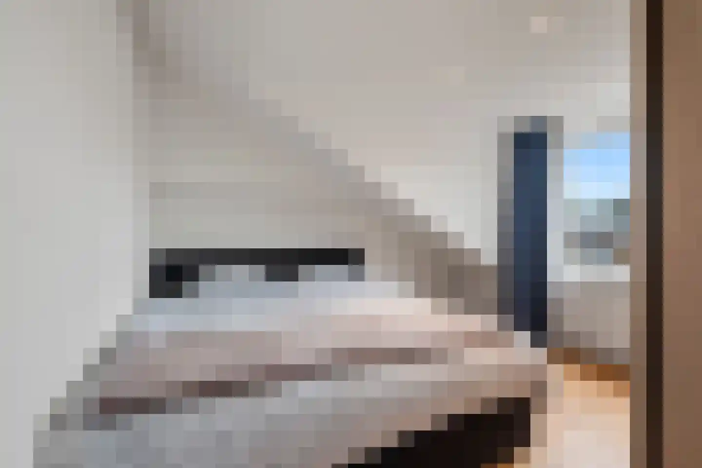 Rusburglaan 8 Santpoort-Zuid thumbnail 25
