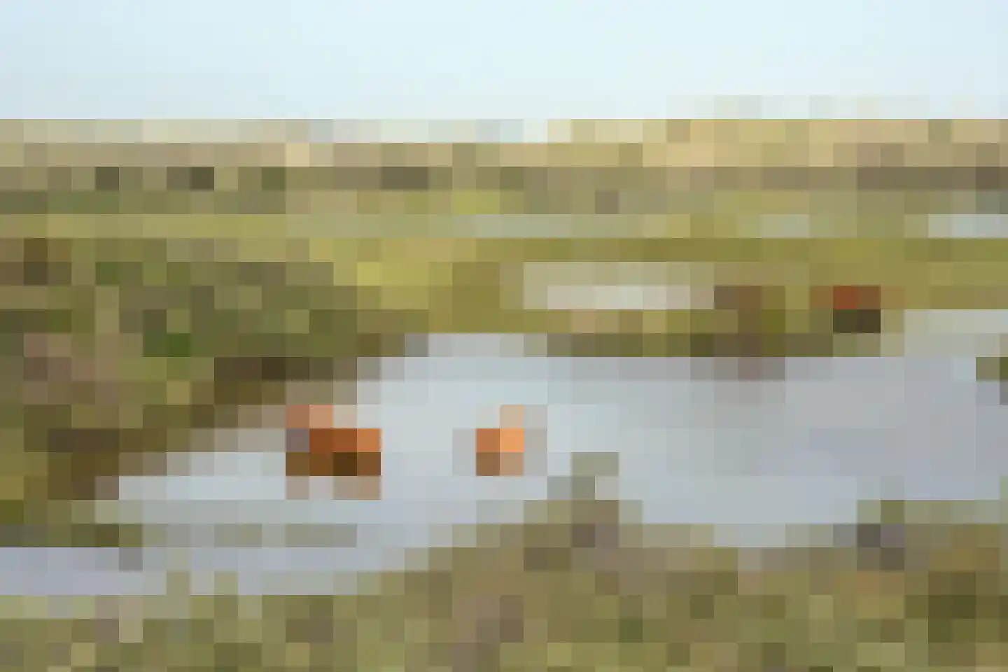 Rusburglaan 8 Santpoort-Zuid thumbnail 49