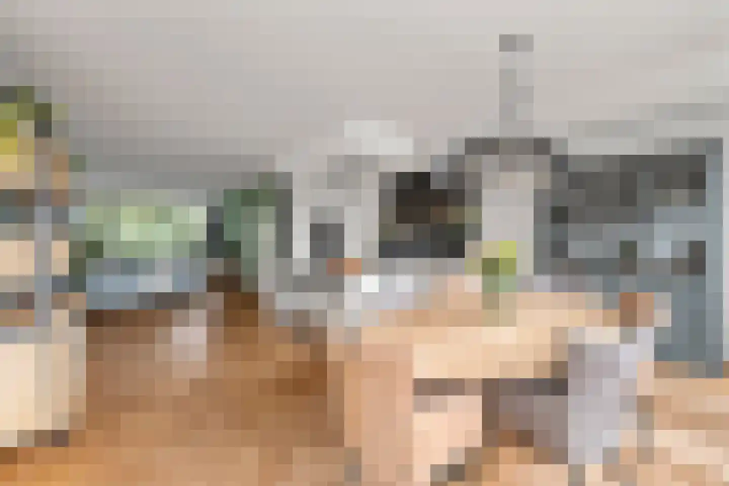 Rusburglaan 8 Santpoort-Zuid thumbnail 5