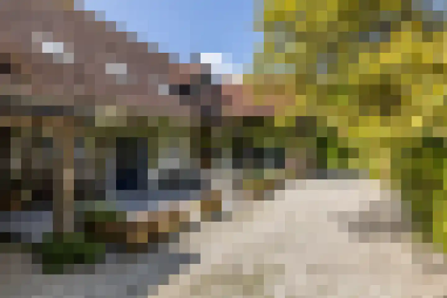 Ruscher 1 Schinveld foto 2