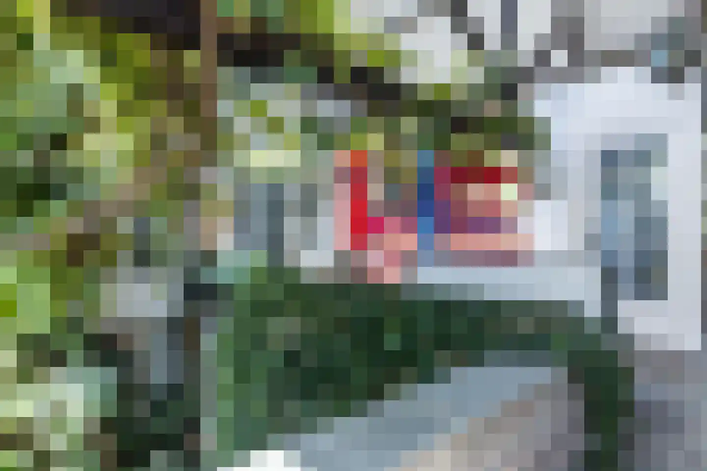 Ruscher 1 Schinveld thumbnail 20