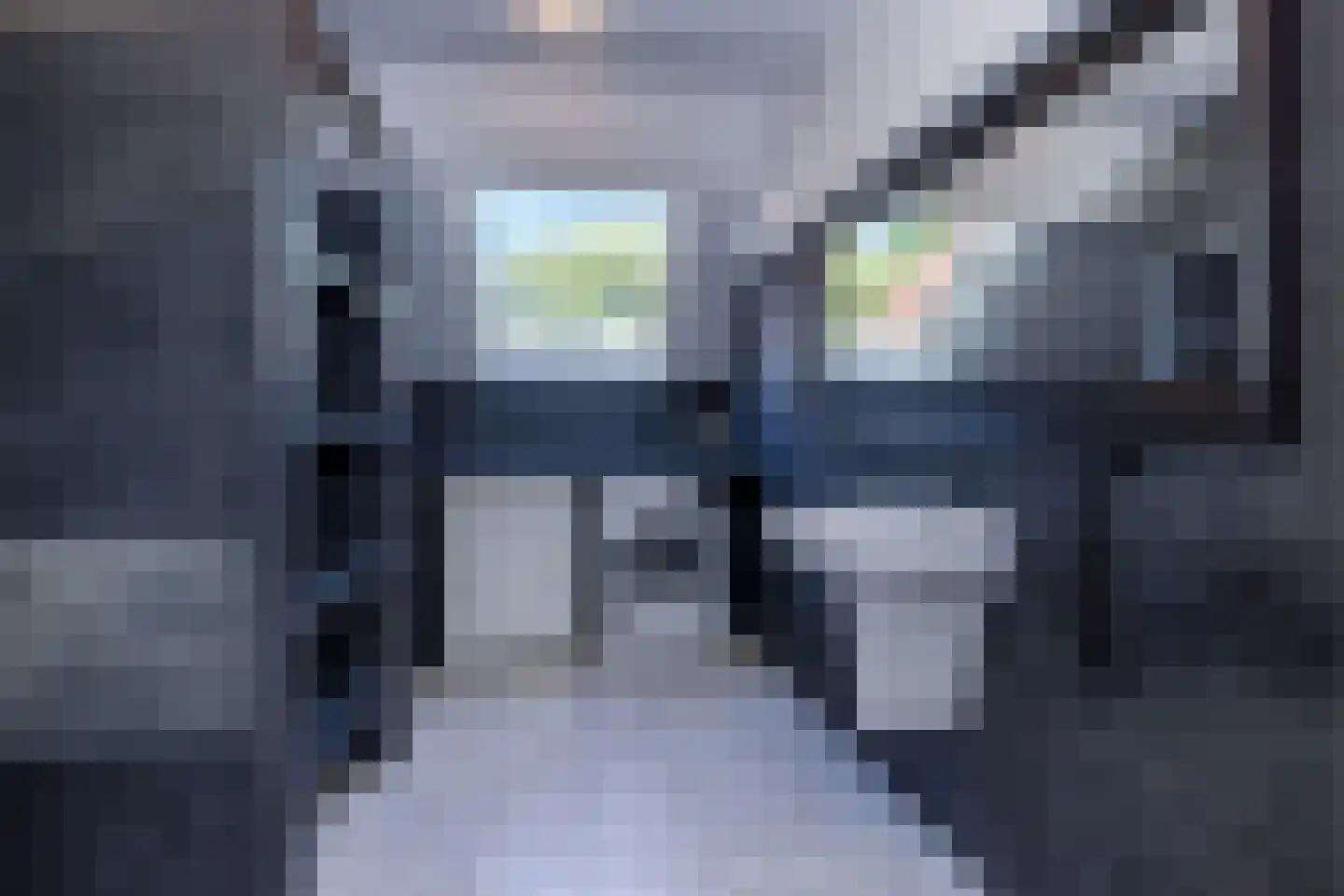 Ruscher 1 Schinveld thumbnail 22