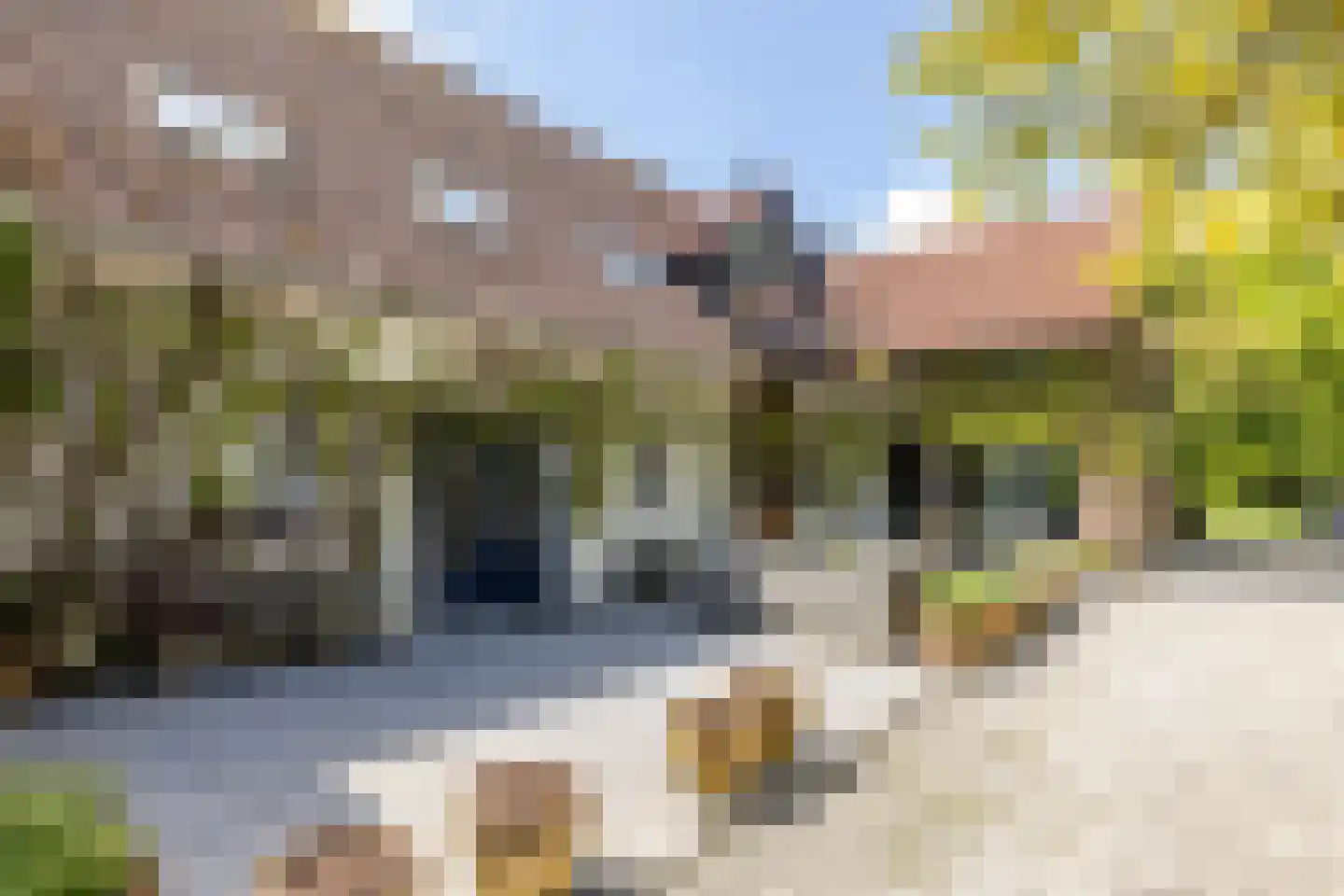 Ruscher 1 Schinveld thumbnail 28