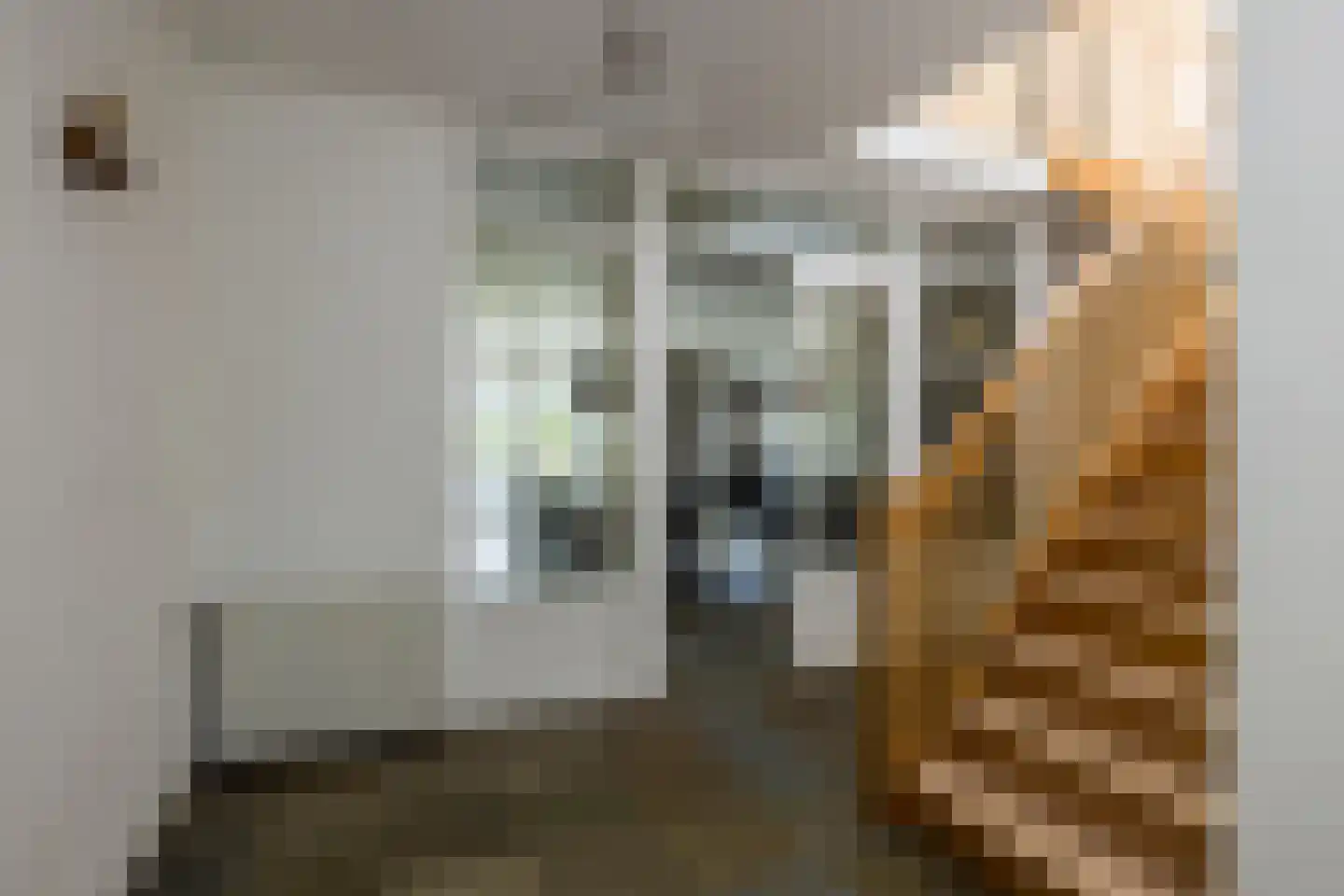 Ruscher 1 Schinveld thumbnail 30