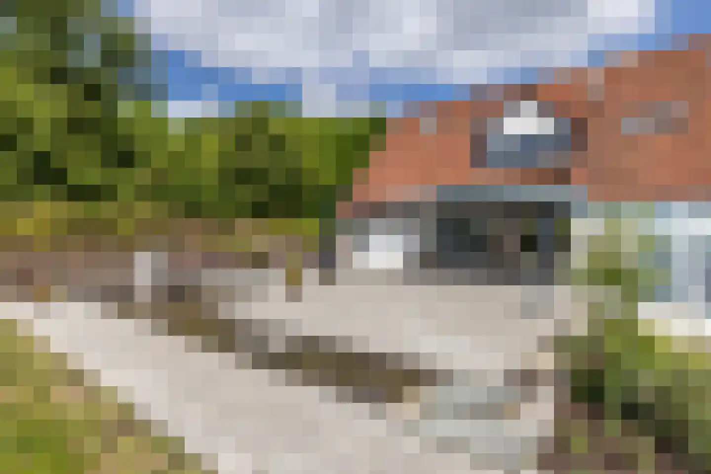 Ruscher 1 Schinveld thumbnail 42