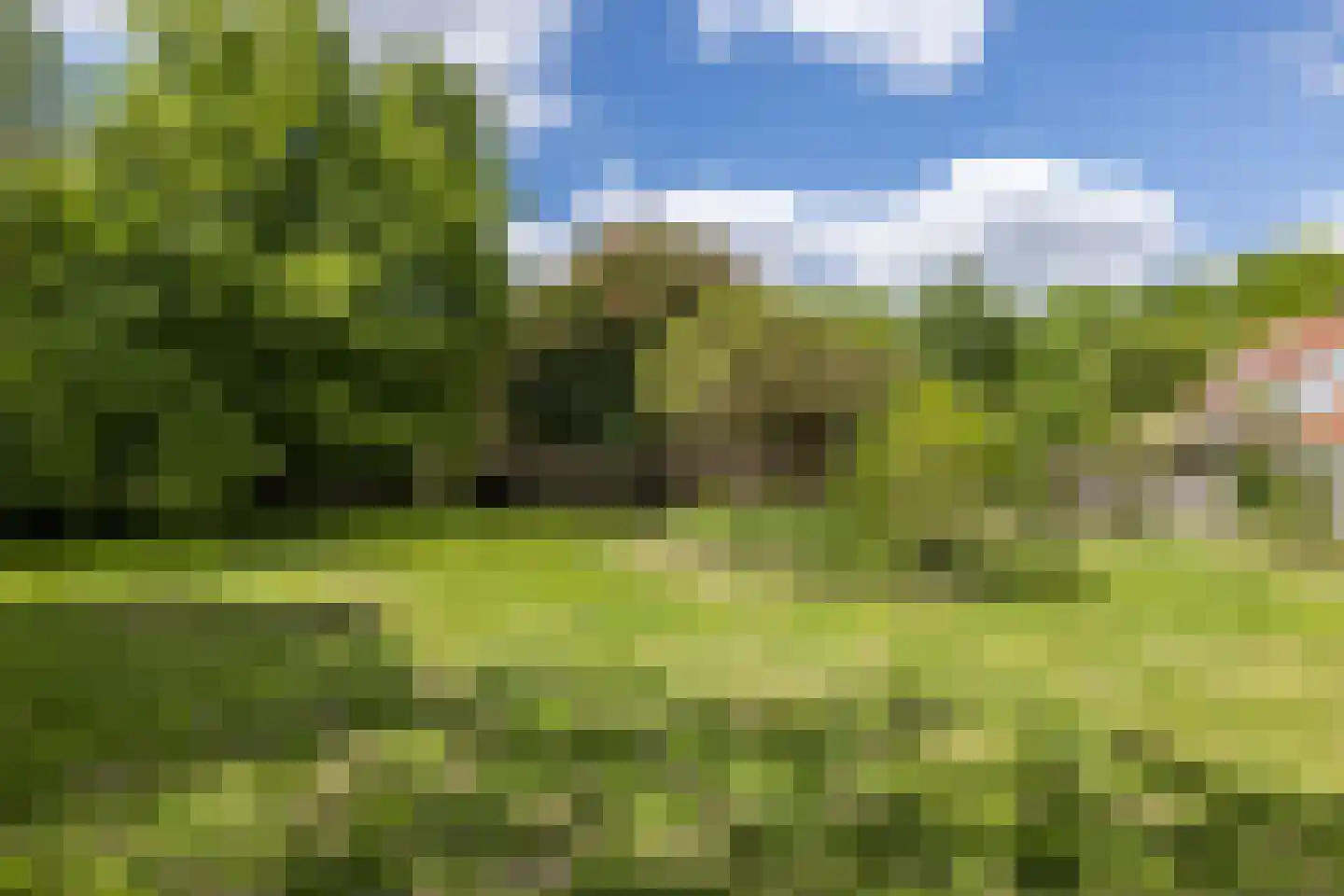 Ruscher 1 Schinveld thumbnail 46