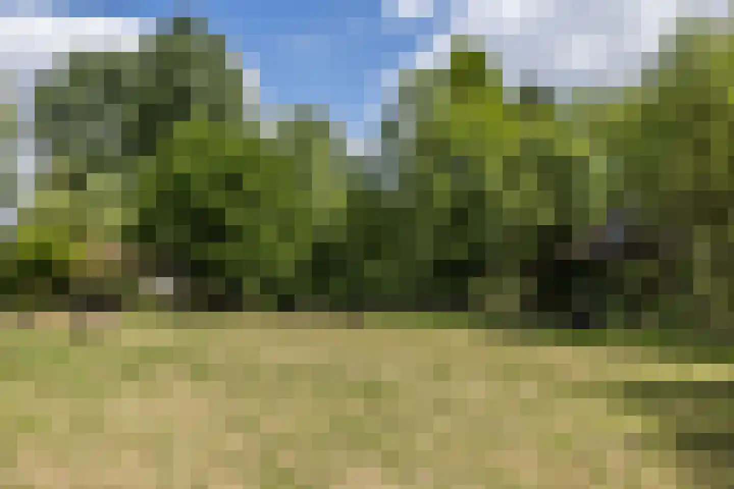 Ruscher 1 Schinveld thumbnail 47