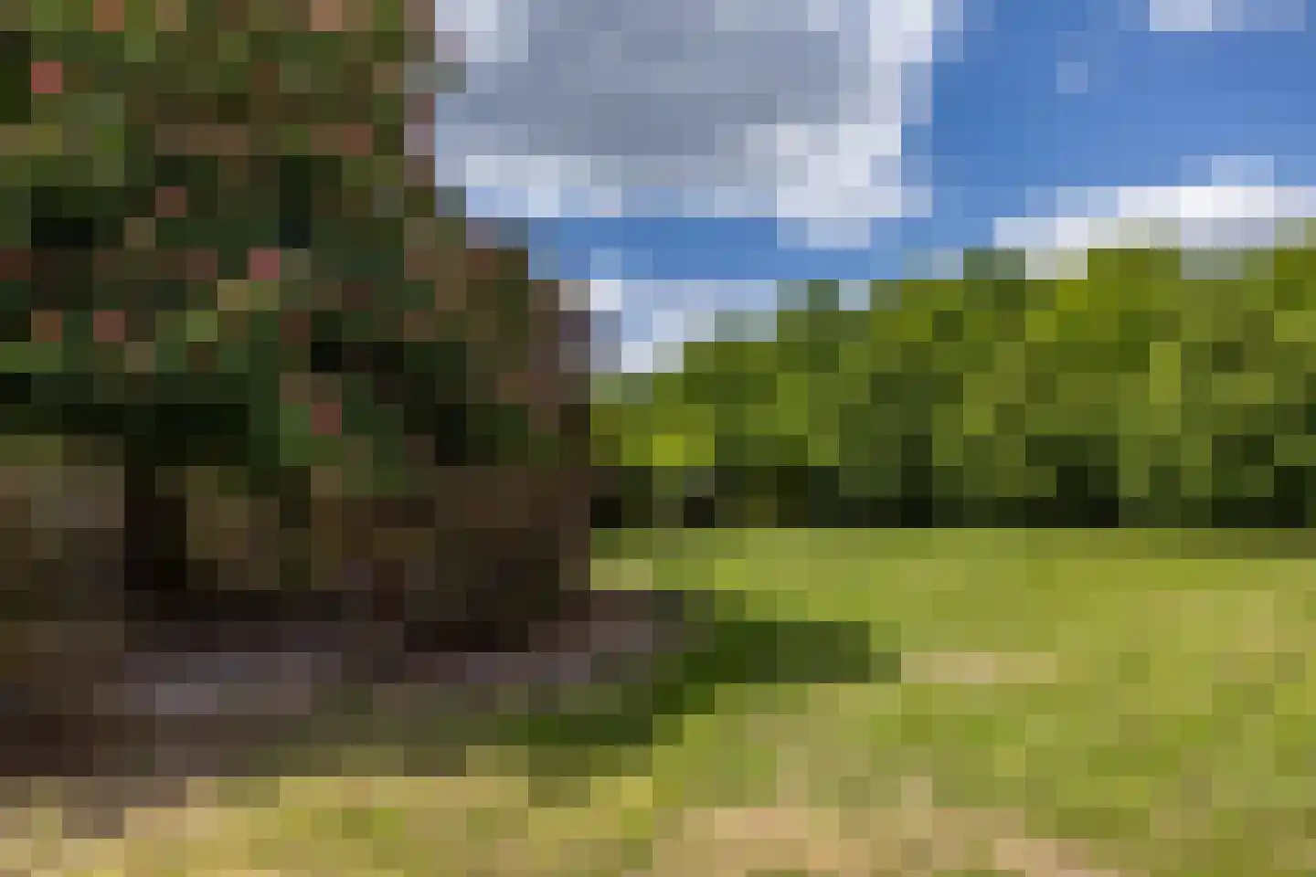 Ruscher 1 Schinveld thumbnail 48