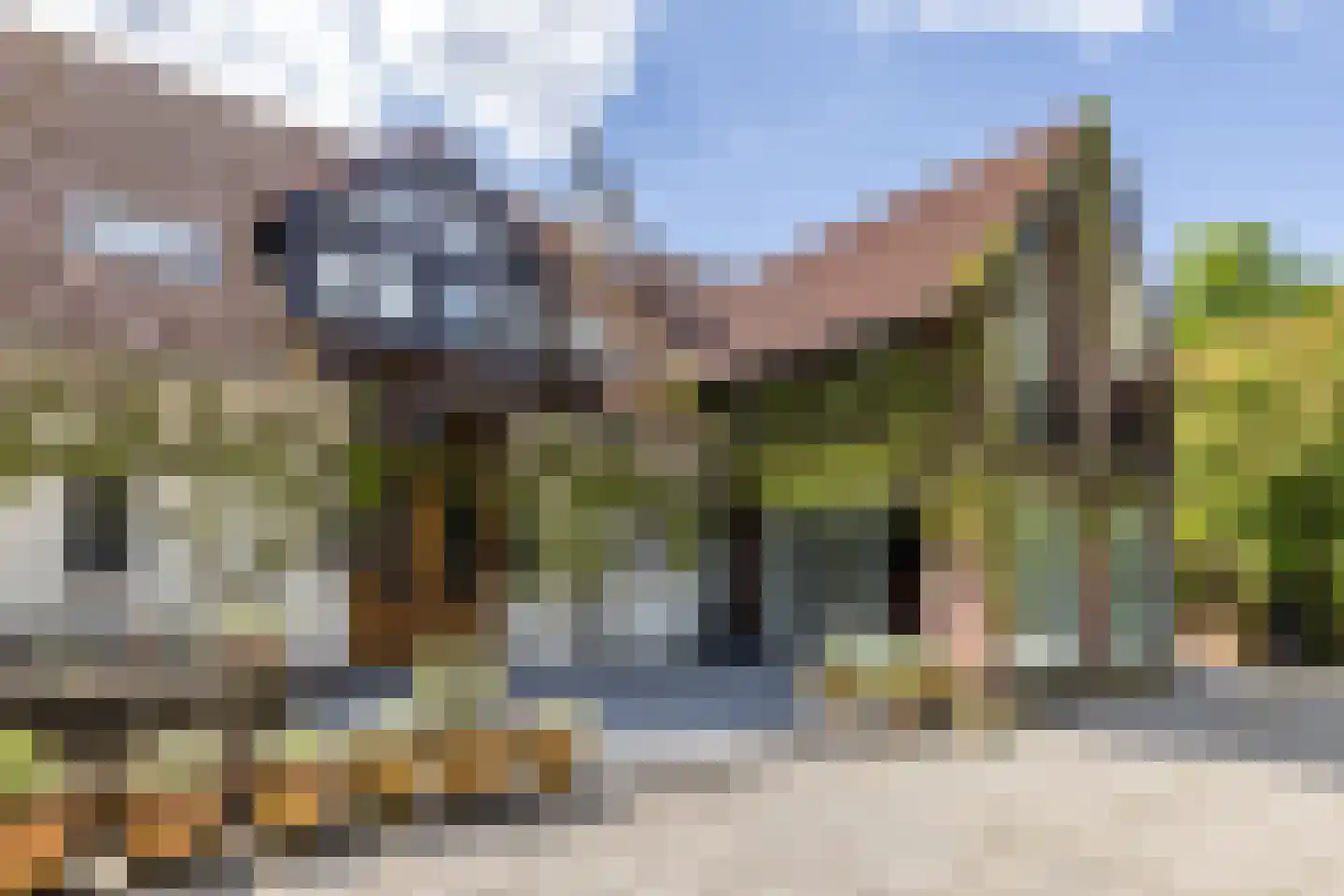 Ruscher 1 Schinveld thumbnail 5