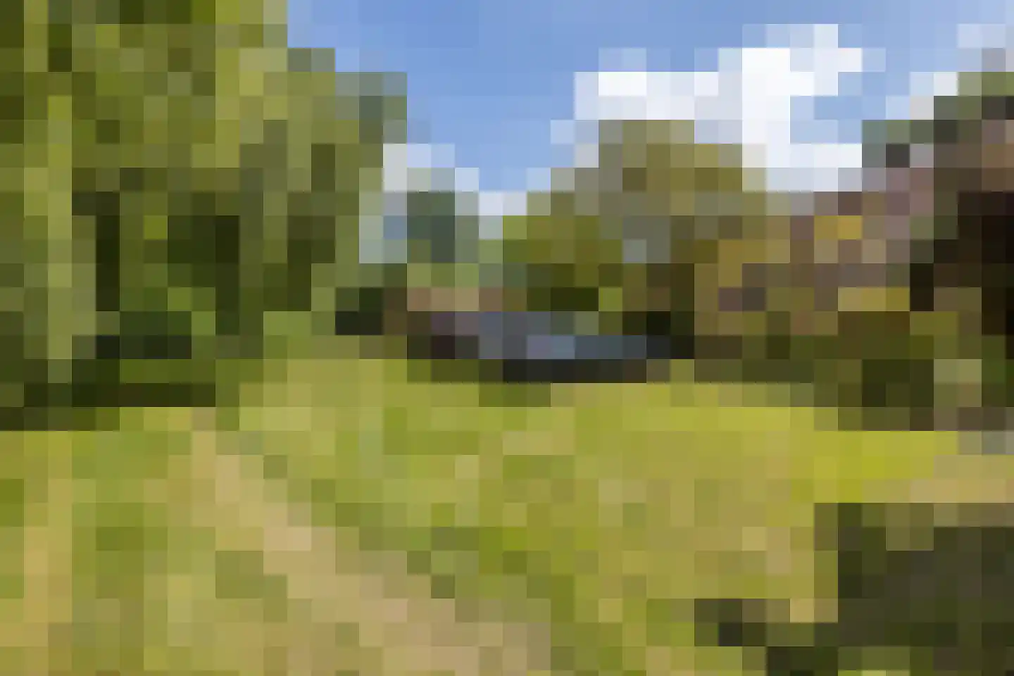 Ruscher 1 Schinveld thumbnail 51