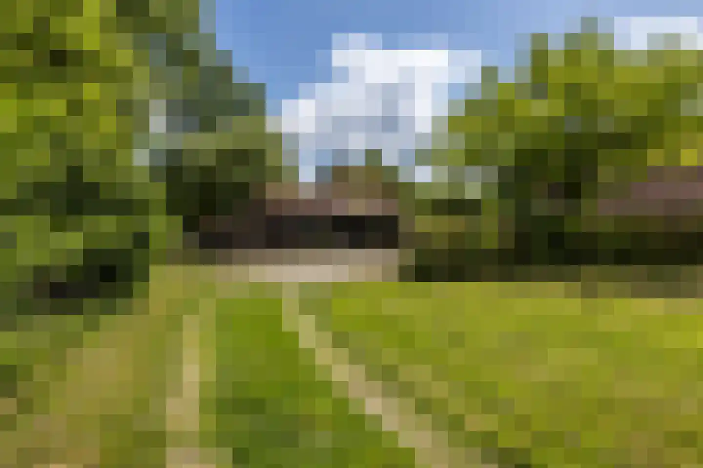Ruscher 1 Schinveld thumbnail 52