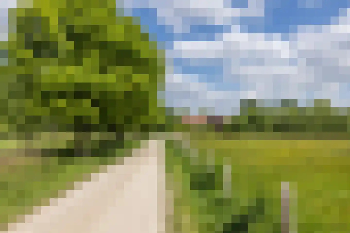 Ruscher 1 Schinveld thumbnail 53
