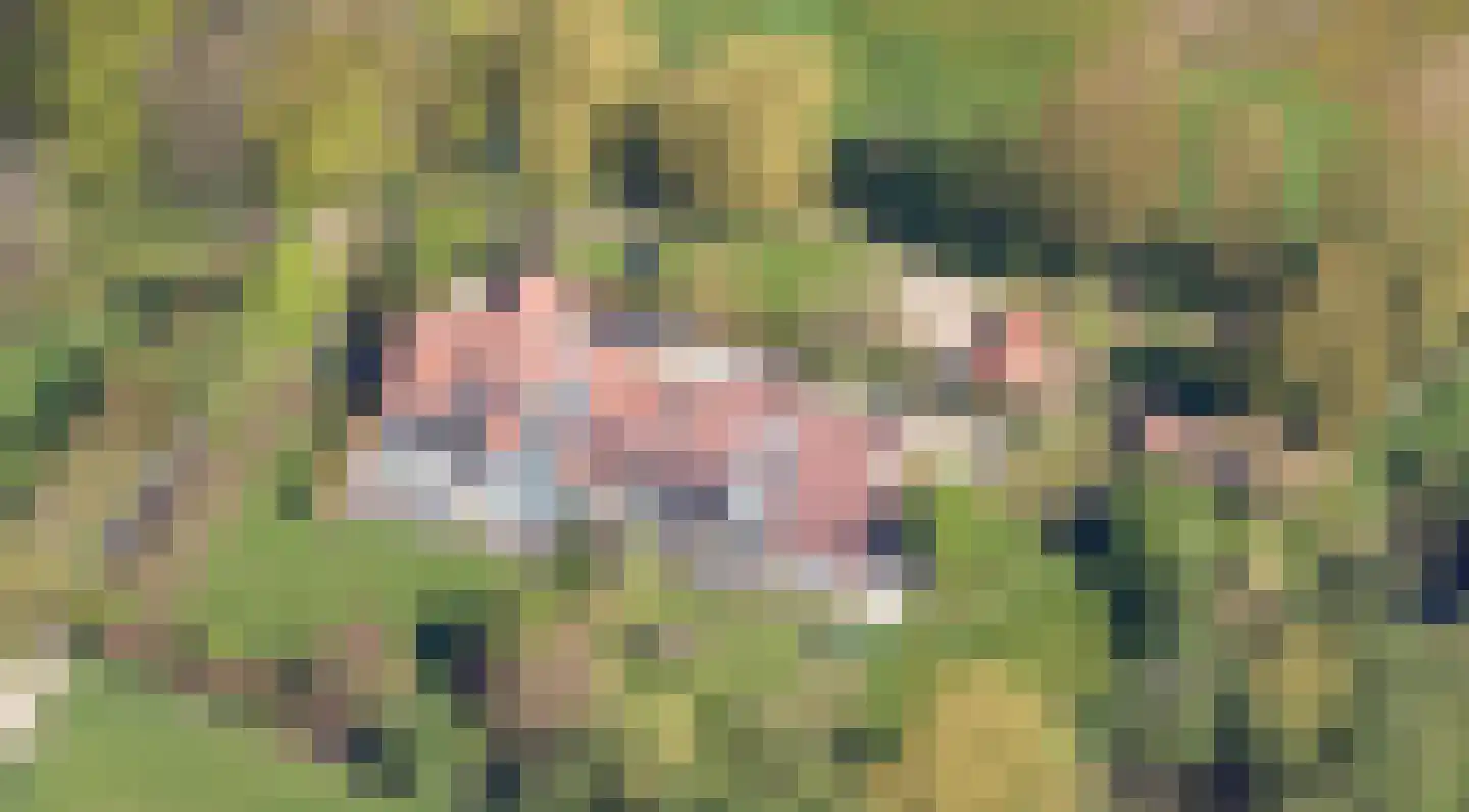 Ruscher 1 Schinveld thumbnail 54