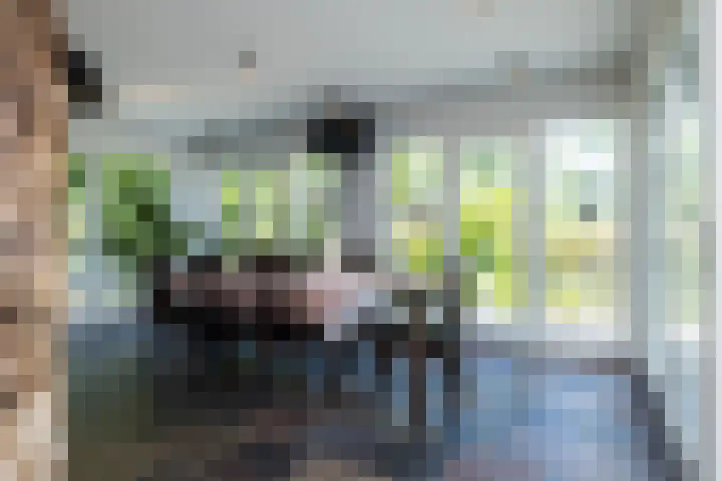 Ruscher 1 Schinveld thumbnail 9
