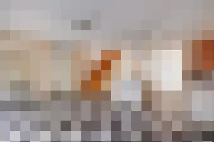 Ruseschans 27 Zoetermeer thumbnail 15