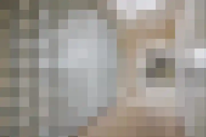 Ruseschans 27 Zoetermeer thumbnail 37