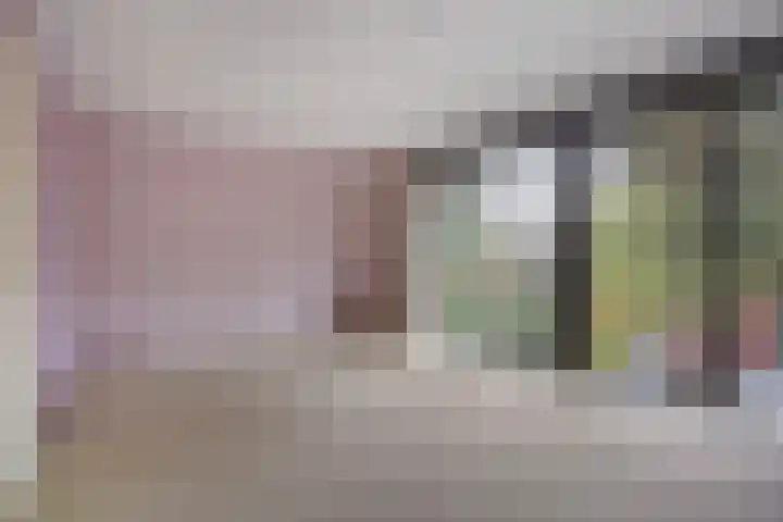Ruseschans 27 Zoetermeer thumbnail 39