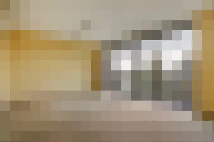 Ruseschans 27 Zoetermeer thumbnail 45