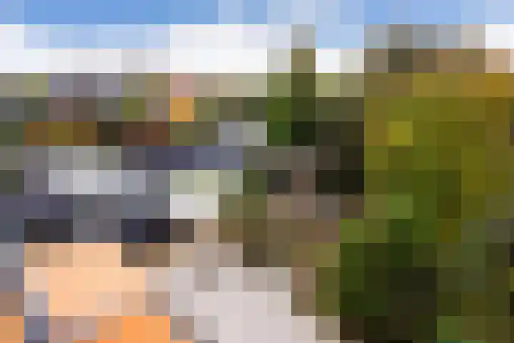 Ruseschans 27 Zoetermeer thumbnail 60