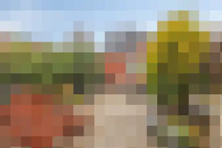 Ruseschans 4 Zoetermeer thumbnail 16