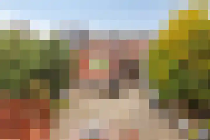 Ruseschans 4 Zoetermeer thumbnail 17