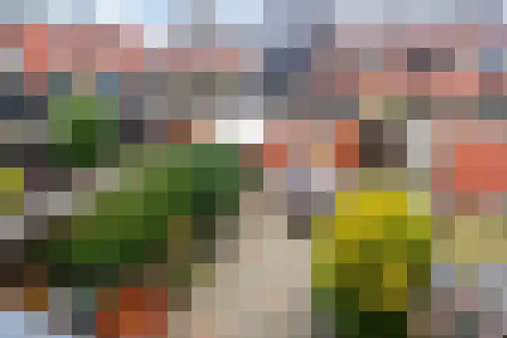 Ruseschans 4 Zoetermeer thumbnail 26