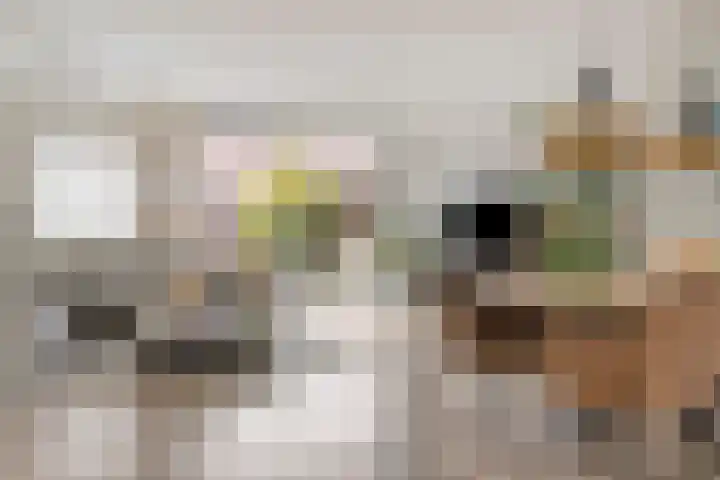 Ruseschans 4 Zoetermeer thumbnail 5