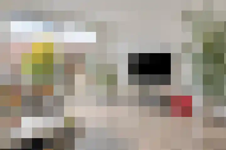 Ruseschans 4 Zoetermeer thumbnail 6