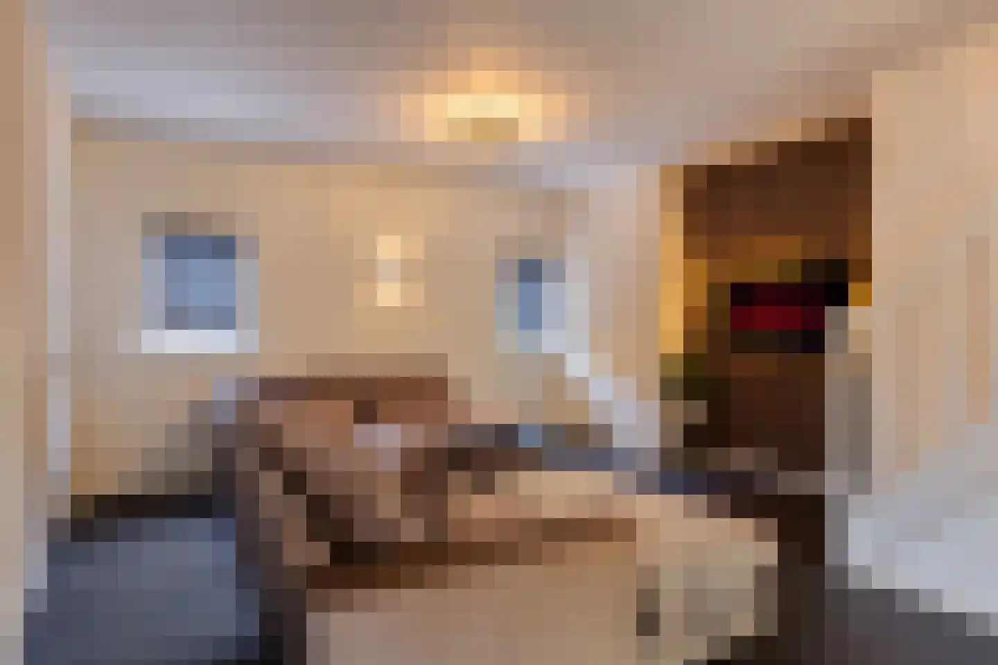 Rusheuvelstraat 13 Oss thumbnail 14