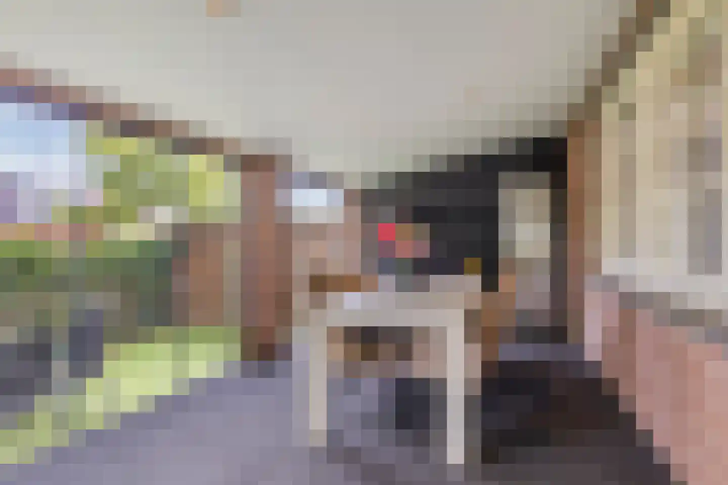 Rusheuvelstraat 13 Oss thumbnail 35
