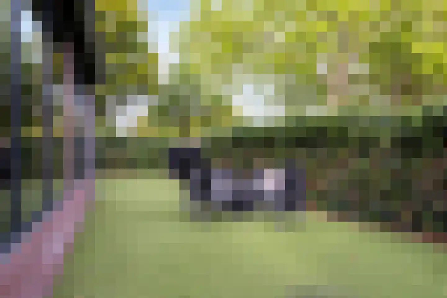 Rusheuvelstraat 13 Oss thumbnail 40