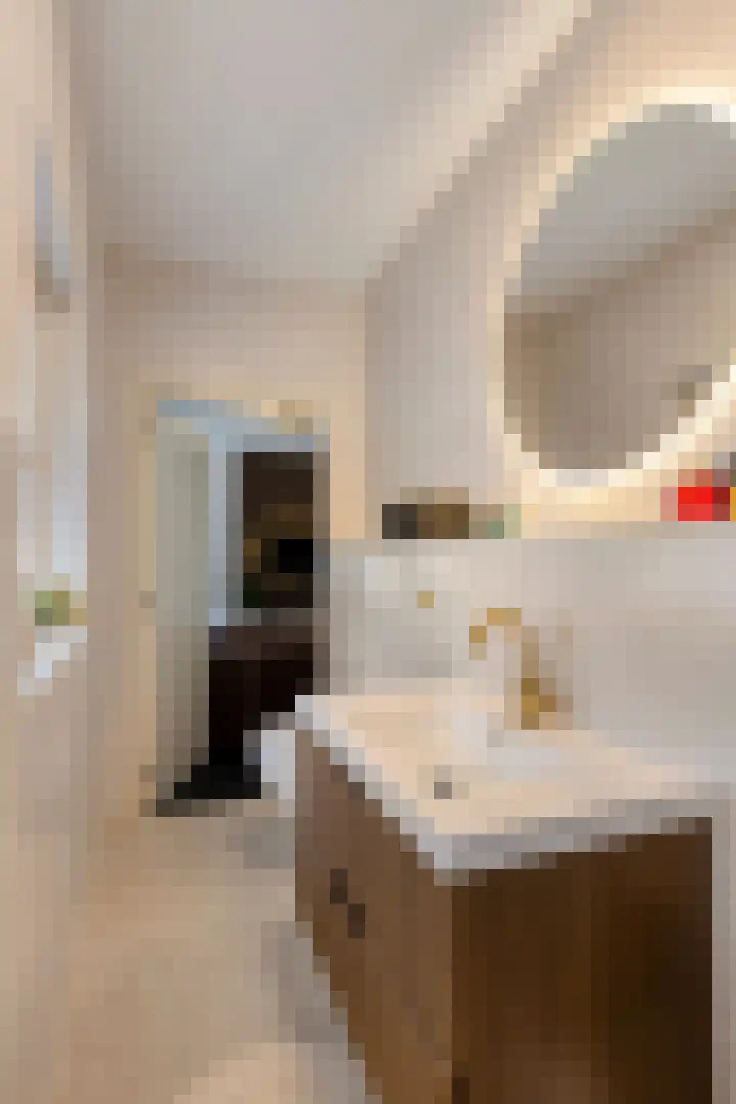 Rusheuvelstraat 13 Oss thumbnail 6