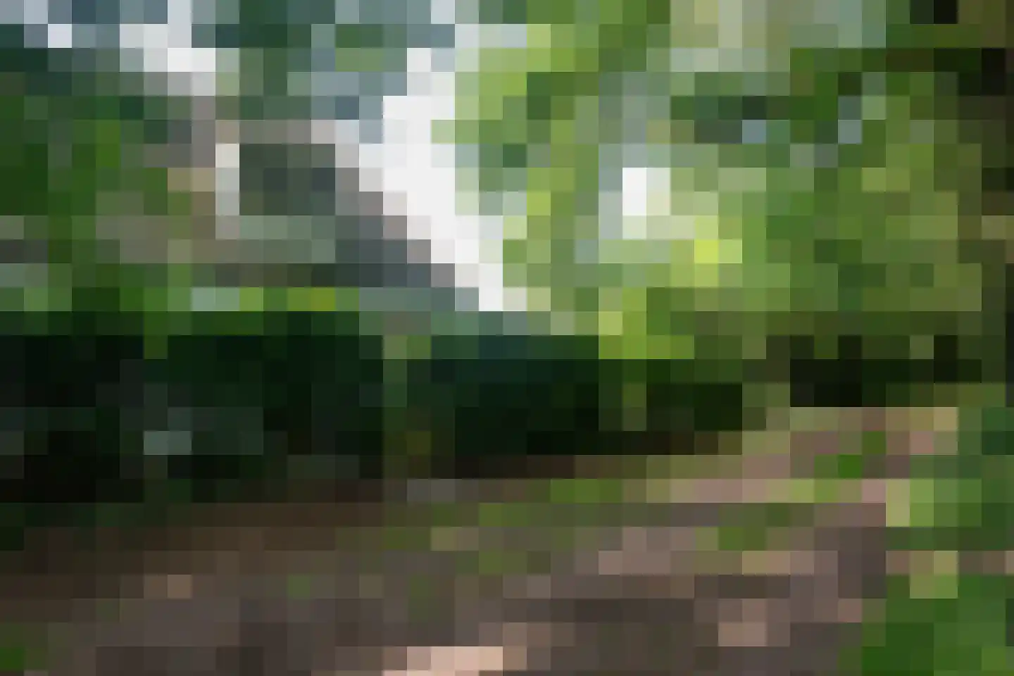 Rusingweg 2 Noord-Sleen thumbnail 10