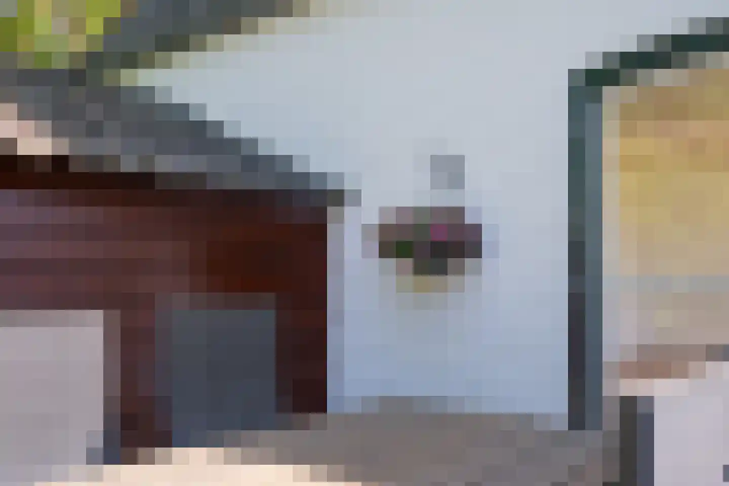 Rusingweg 2 Noord-Sleen thumbnail 38