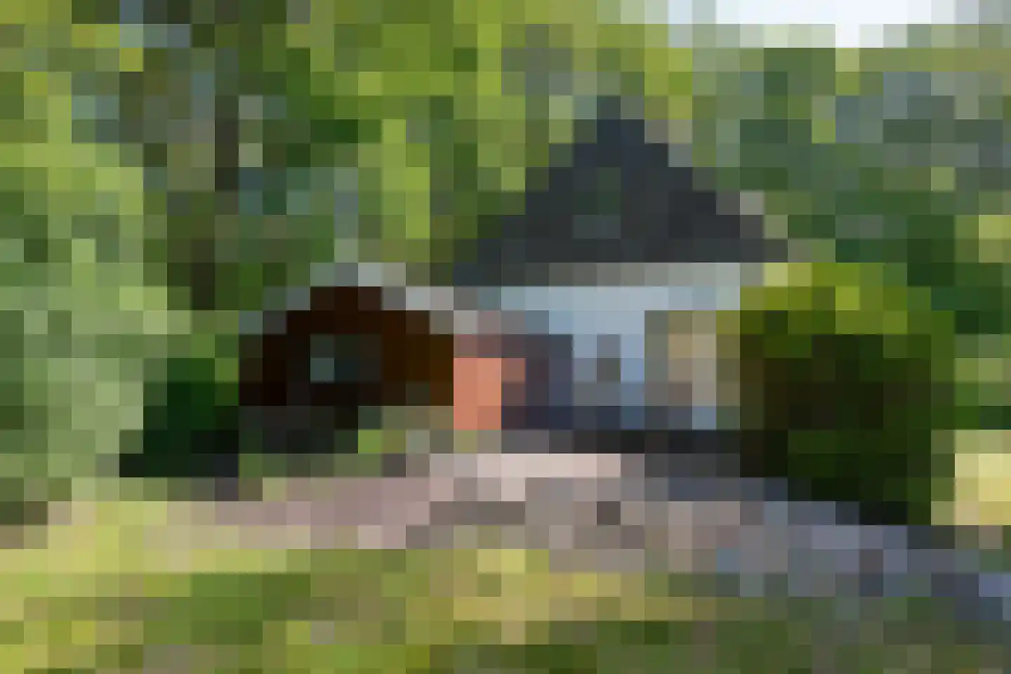 Rusingweg 2 Noord-Sleen thumbnail 39