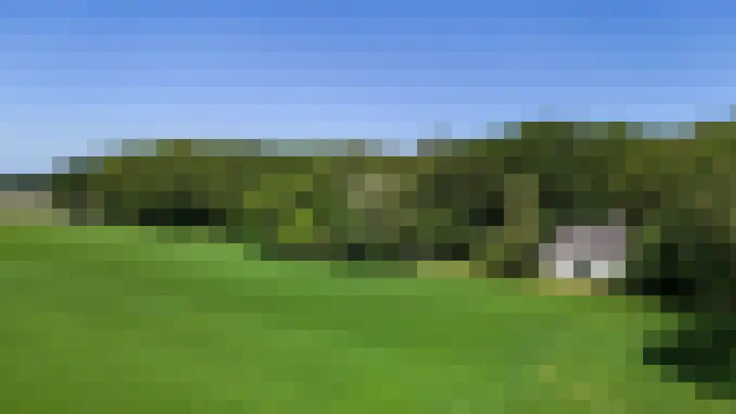 Rusingweg 2 Noord-Sleen thumbnail 4