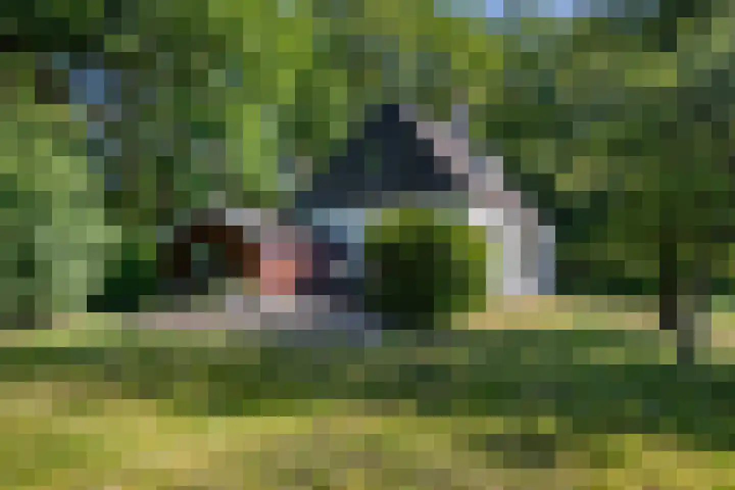 Rusingweg 2 Noord-Sleen thumbnail 40