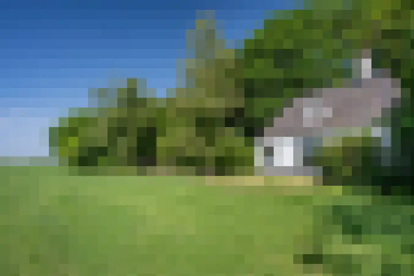 Rusingweg 2 Noord-Sleen thumbnail 41