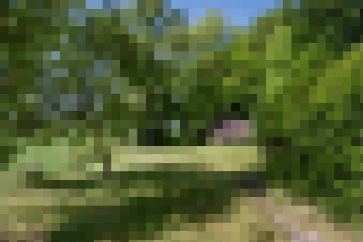 Rusingweg 2 Noord-Sleen thumbnail 42