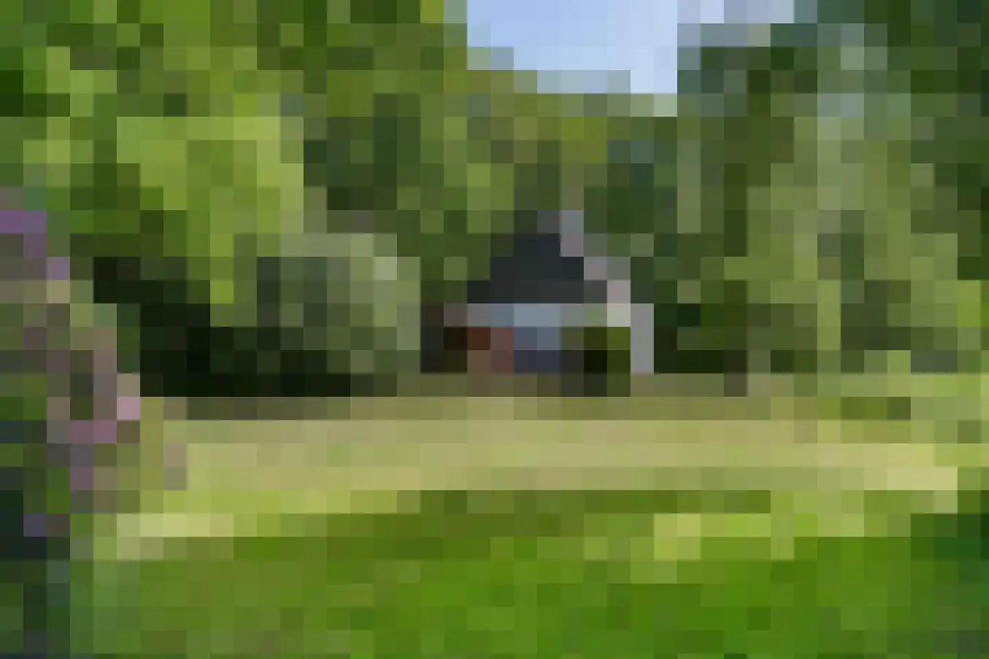 Rusingweg 2 Noord-Sleen thumbnail 43