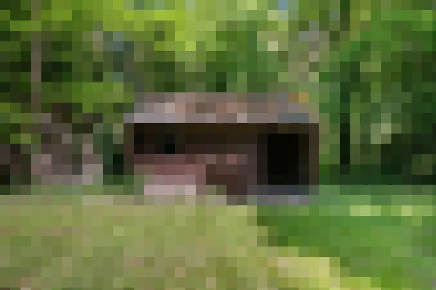 Rusingweg 2 Noord-Sleen thumbnail 45