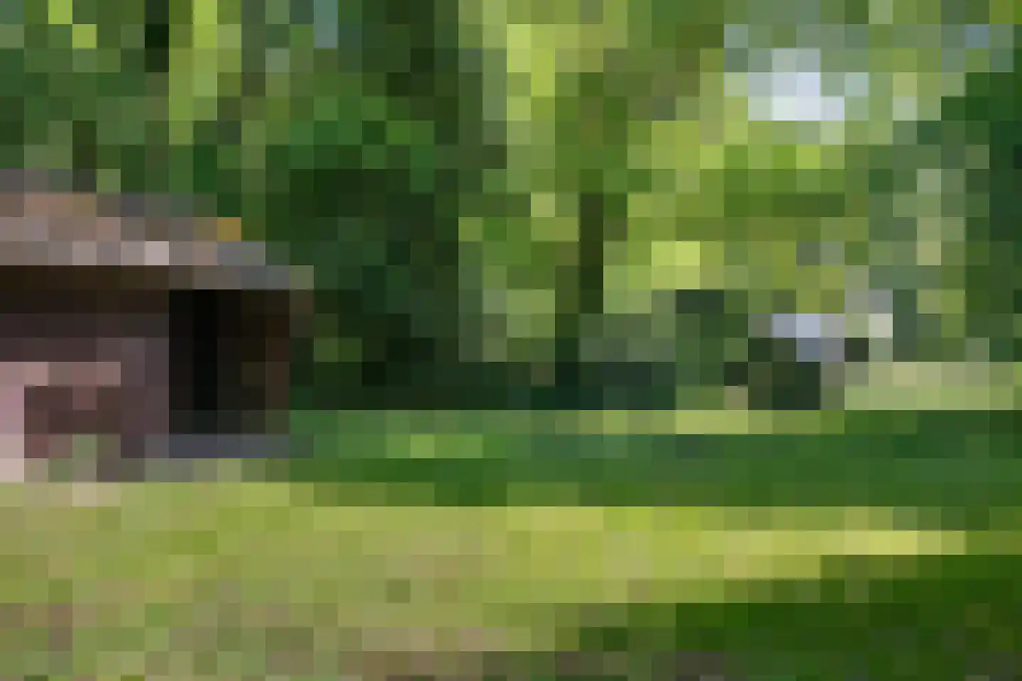 Rusingweg 2 Noord-Sleen thumbnail 46