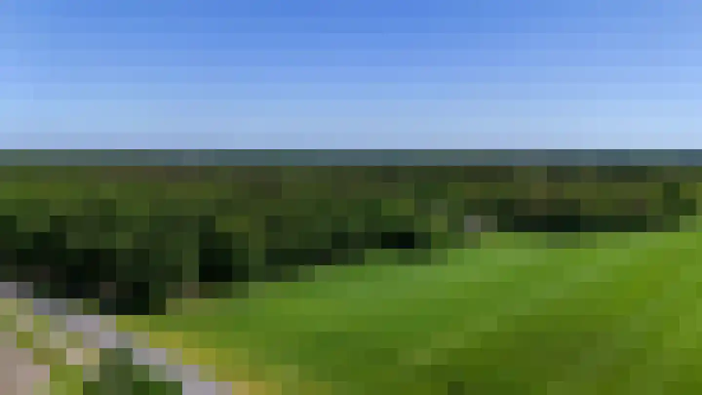 Rusingweg 2 Noord-Sleen thumbnail 47