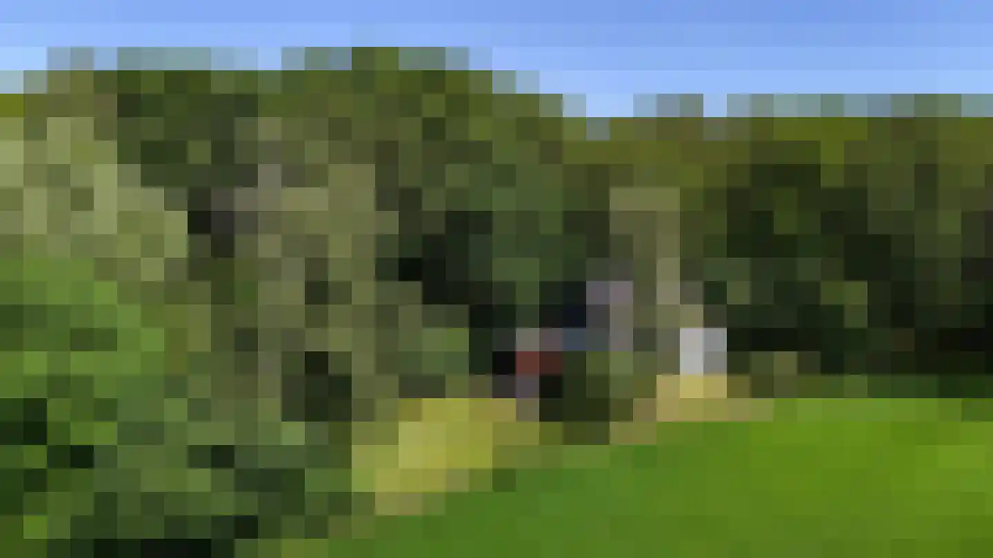 Rusingweg 2 Noord-Sleen thumbnail 5